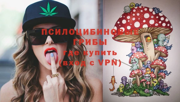 apvp Бронницы