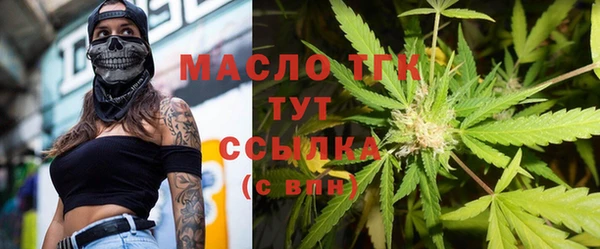 мдпв Бородино