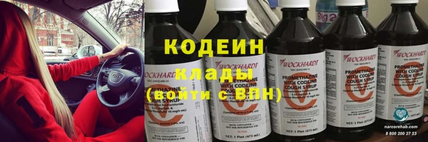 мдпв Бородино