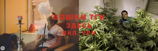 мдпв Бородино