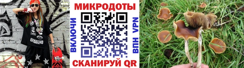 Псилоцибиновые грибы MAGIC MUSHROOMS  ссылка на мегу как войти  Тольятти 